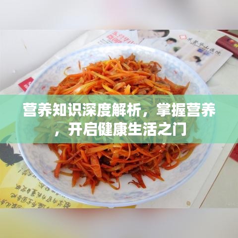營養(yǎng)知識深度解析，掌握營養(yǎng)，開啟健康生活之門