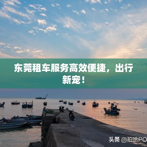 東莞租車服務(wù)高效便捷，出行新寵！