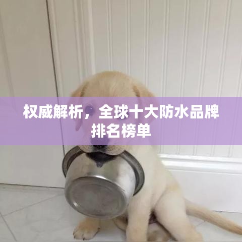 權(quán)威解析，全球十大防水品牌排名榜單