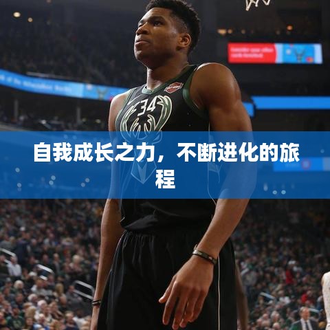 自我成長(zhǎng)之力，不斷進(jìn)化的旅程