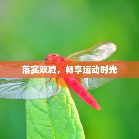 落實(shí)雙減，暢享運(yùn)動(dòng)時(shí)光