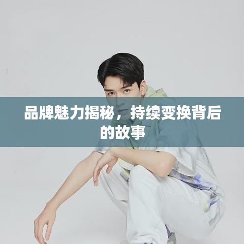 品牌魅力揭秘，持續(xù)變換背后的故事