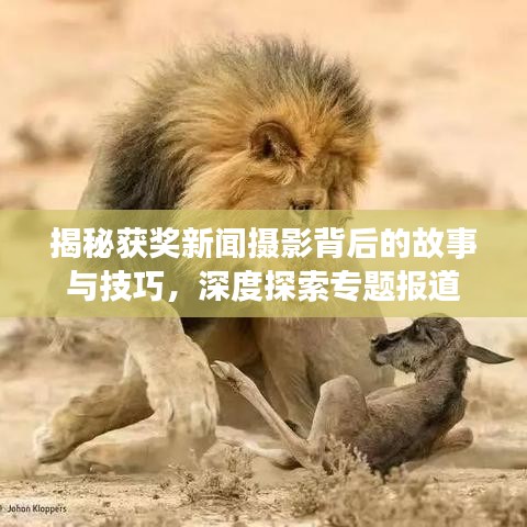 揭秘獲獎(jiǎng)新聞攝影背后的故事與技巧，深度探索專(zhuān)題報(bào)道