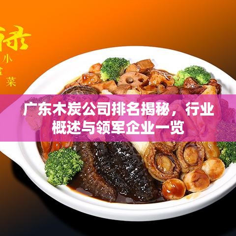 廣東木炭公司排名揭秘，行業(yè)概述與領(lǐng)軍企業(yè)一覽