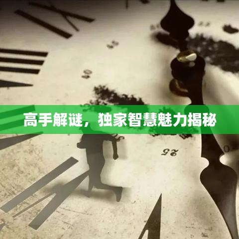 高手解謎，獨(dú)家智慧魅力揭秘