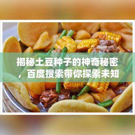 揭秘土豆種子的神奇秘密，百度搜索帶你探索未知世界