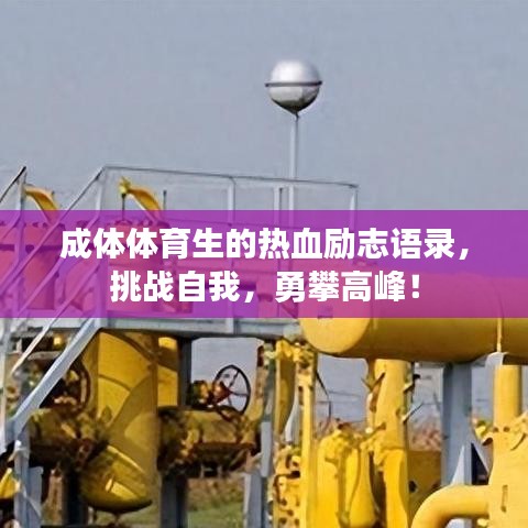 成體體育生的熱血勵志語錄，挑戰(zhàn)自我，勇攀高峰！