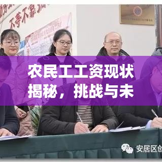 農(nóng)民工工資現(xiàn)狀揭秘，挑戰(zhàn)與未來展望，百度權(quán)威解讀！