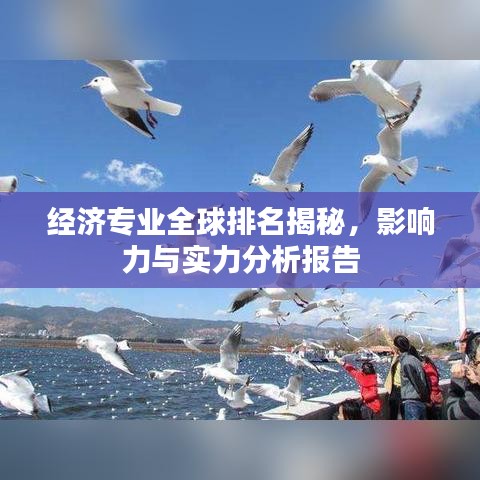經(jīng)濟(jì)專業(yè)全球排名揭秘，影響力與實力分析報告
