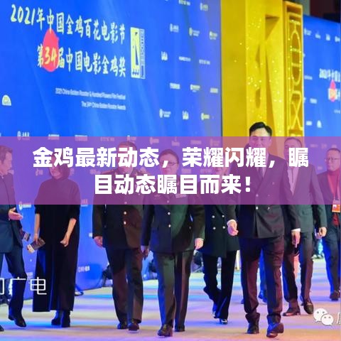 金雞最新動(dòng)態(tài)，榮耀閃耀，矚目動(dòng)態(tài)矚目而來！