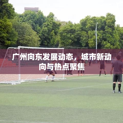 廣州向東發(fā)展動(dòng)態(tài)，城市新動(dòng)向與熱點(diǎn)聚焦