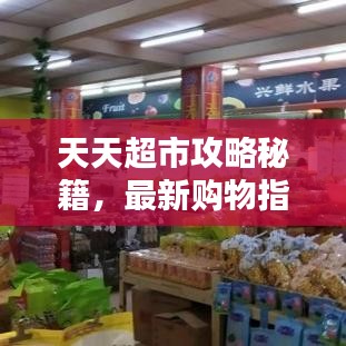 天天超市攻略秘籍，最新購物指南一網(wǎng)打盡！