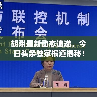 胡翔最新動態(tài)速遞，今日頭條獨家報道揭秘！