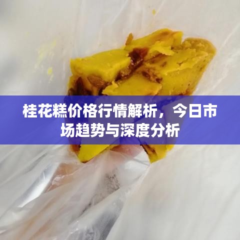 桂花糕價格行情解析，今日市場趨勢與深度分析