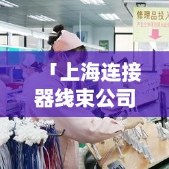 「上海連接器線束公司排行榜TOP名次揭曉」