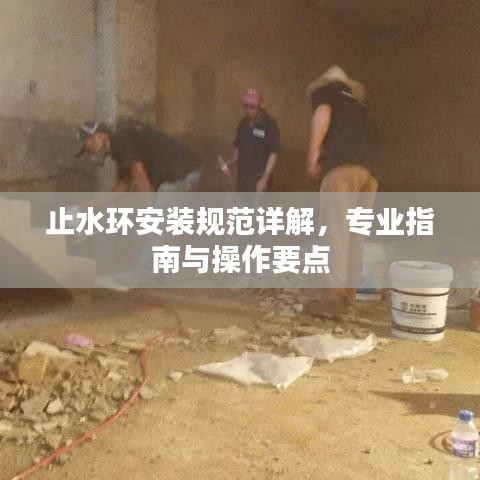 止水環(huán)安裝規(guī)范詳解，專業(yè)指南與操作要點