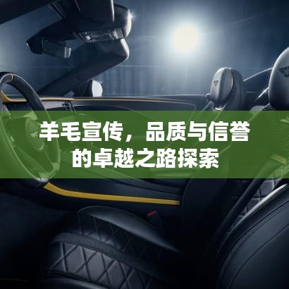 羊毛宣傳，品質與信譽的卓越之路探索