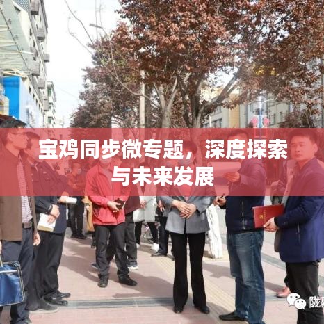 寶雞同步微專題，深度探索與未來(lái)發(fā)展