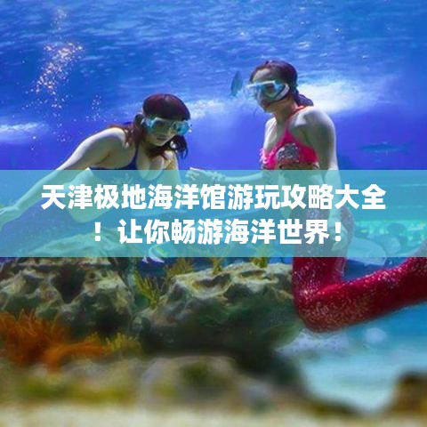 天津極地海洋館游玩攻略大全！讓你暢游海洋世界！