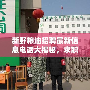 新野糧油招聘最新信息電話(huà)大揭秘，求職者福音，優(yōu)質(zhì)職位等你來(lái)挑！