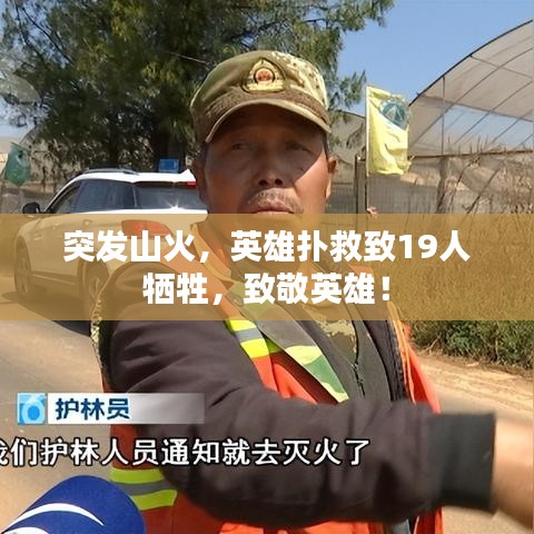 突發(fā)山火，英雄撲救致19人犧牲，致敬英雄！