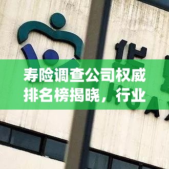 壽險(xiǎn)調(diào)查公司權(quán)威排名榜揭曉，行業(yè)格局與評(píng)估報(bào)告重磅發(fā)布！