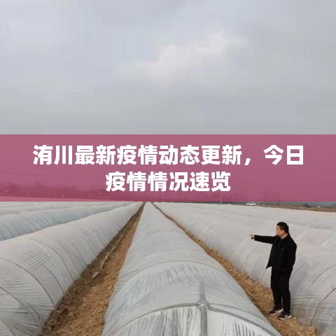 洧川最新疫情動(dòng)態(tài)更新，今日疫情情況速覽
