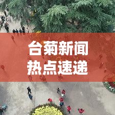 臺菊新聞熱點速遞，最新頭條報道搶先看！