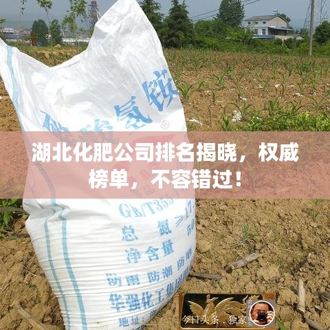 湖北化肥公司排名揭曉，權(quán)威榜單，不容錯過！