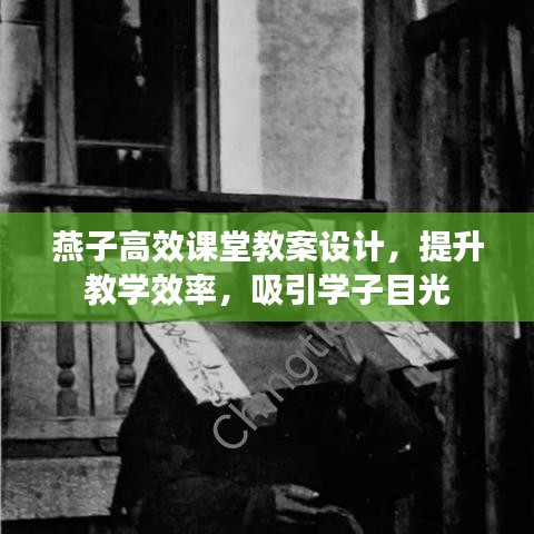 燕子高效課堂教案設(shè)計(jì)，提升教學(xué)效率，吸引學(xué)子目光