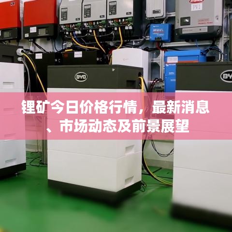 鋰礦今日價格行情，最新消息、市場動態(tài)及前景展望