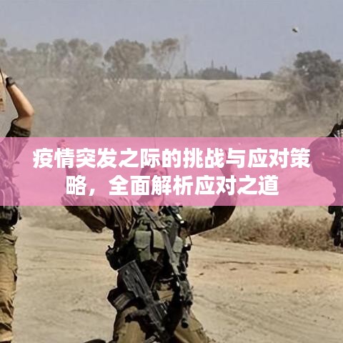 疫情突發(fā)之際的挑戰(zhàn)與應(yīng)對(duì)策略，全面解析應(yīng)對(duì)之道