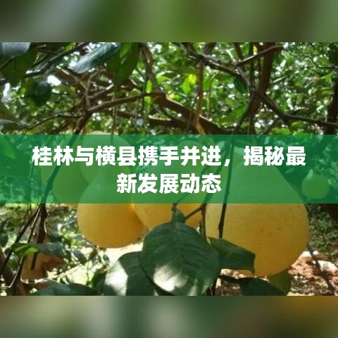桂林與橫縣攜手并進(jìn)，揭秘最新發(fā)展動(dòng)態(tài)