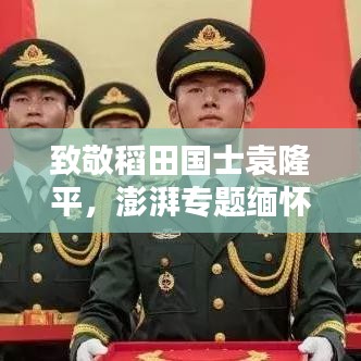 致敬稻田國士袁隆平，澎湃專題緬懷傳奇人生