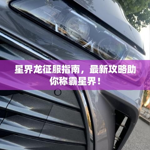 星界龍征服指南，最新攻略助你稱霸星界！