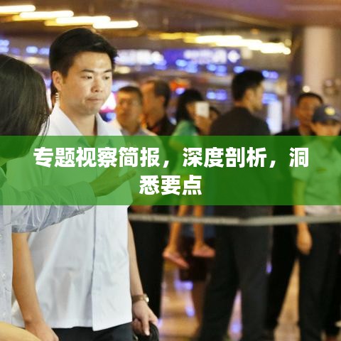 專題視察簡報，深度剖析，洞悉要點