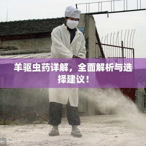 羊驅(qū)蟲藥詳解，全面解析與選擇建議！