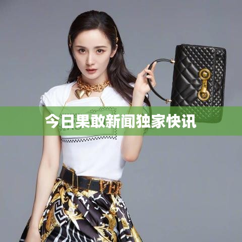 今日果敢新聞獨家快訊