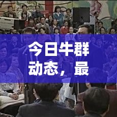今日牛群動態(tài)，最新消息視頻匯總