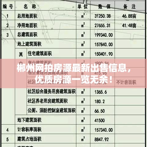 郴州網(wǎng)拍房源最新出售信息，優(yōu)質(zhì)房源一覽無(wú)余！