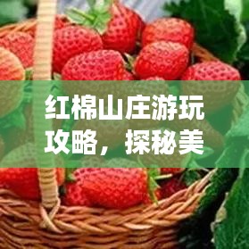 紅棉山莊游玩攻略，探秘美景，盡享度假時光！
