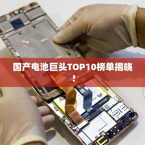 國產(chǎn)電池巨頭TOP10榜單揭曉！