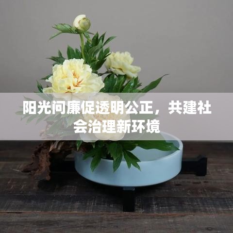 陽光問廉促透明公正，共建社會治理新環(huán)境