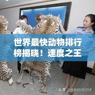 世界最快動物排行榜揭曉！速度之王究竟是誰？