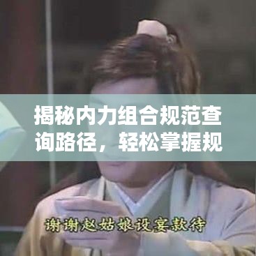 揭秘內(nèi)力組合規(guī)范查詢路徑，輕松掌握規(guī)范信息