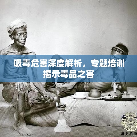 吸毒危害深度解析，專題培訓(xùn)揭示毒品之害