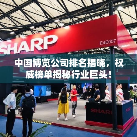 中國(guó)博覽公司排名揭曉，權(quán)威榜單揭秘行業(yè)巨頭！