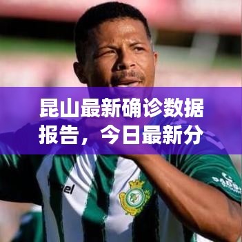 昆山最新確診數(shù)據(jù)報(bào)告，今日最新分析與解讀