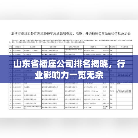 山東省插座公司排名揭曉，行業(yè)影響力一覽無余