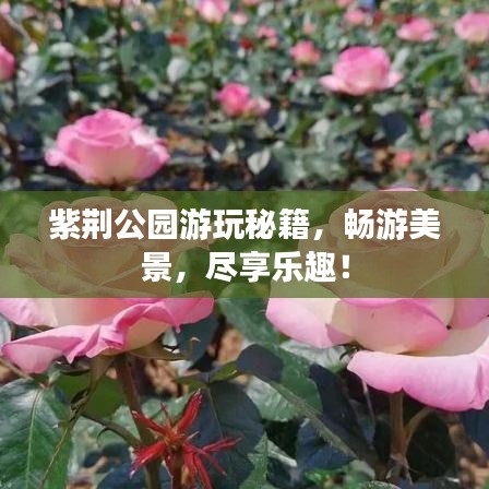 紫荊公園游玩秘籍，暢游美景，盡享樂(lè)趣！